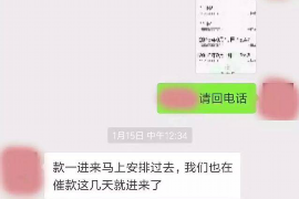 雨山如何避免债务纠纷？专业追讨公司教您应对之策